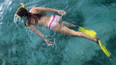Casino Point Snorkel Tour