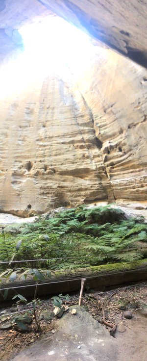 Hike Australia - Bunya Mountains & Carnarvon Gorge