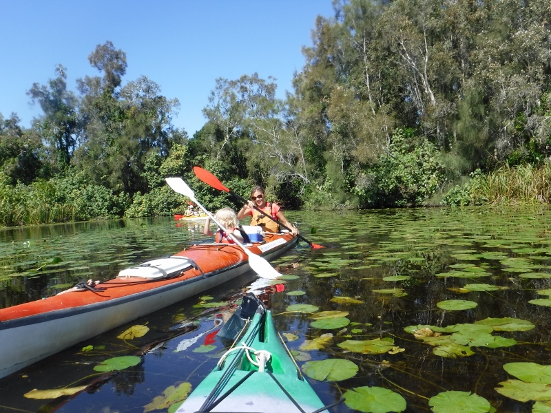 1/2 Day Truly Sustainable Noosa Everglades Guided Kayak Tour