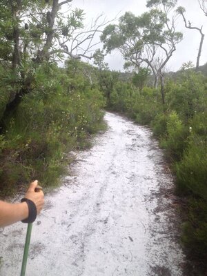 Hike Australia - Cooloola Great Walk