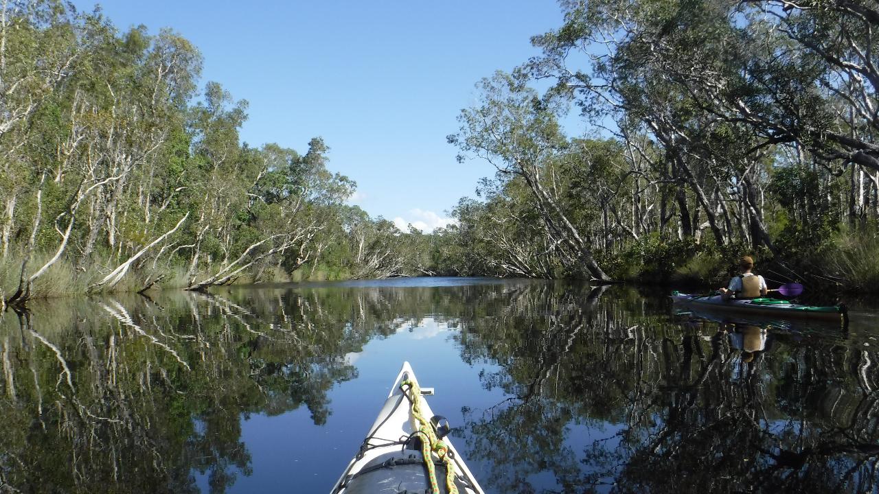 4 Day Truly Sustainable Noosa Everglades Self Guided Kayak Adventure 