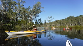 1 Day Noosa Everglades Self Guided Kayak Tour