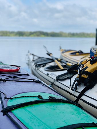 Everglades Kayak Tour or Noosa Abseil $100 Gift card