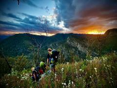 Introduction to Offtrack Bush Walking