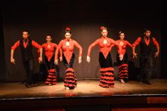 Palacio del Flamenco show with optional tapas menu