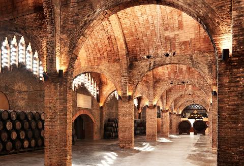 Montserrat & Codorníu Wine Cellars Tour