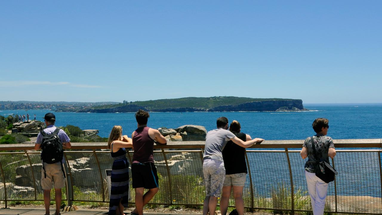 Sydney Guided Sightseeing Bus Tour