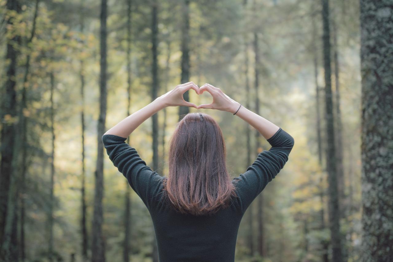 Edible and Medicinal Plants Tour with Forest Bathing in Hocking Hills, OH