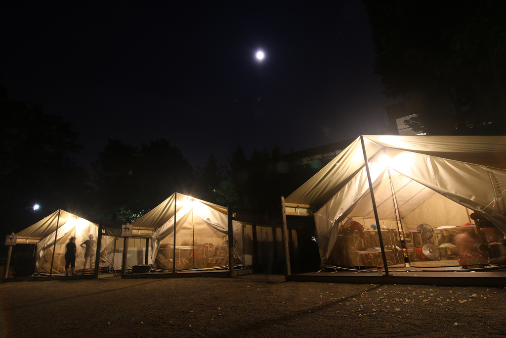 Cincinnati Zoo Africa Slumber Party