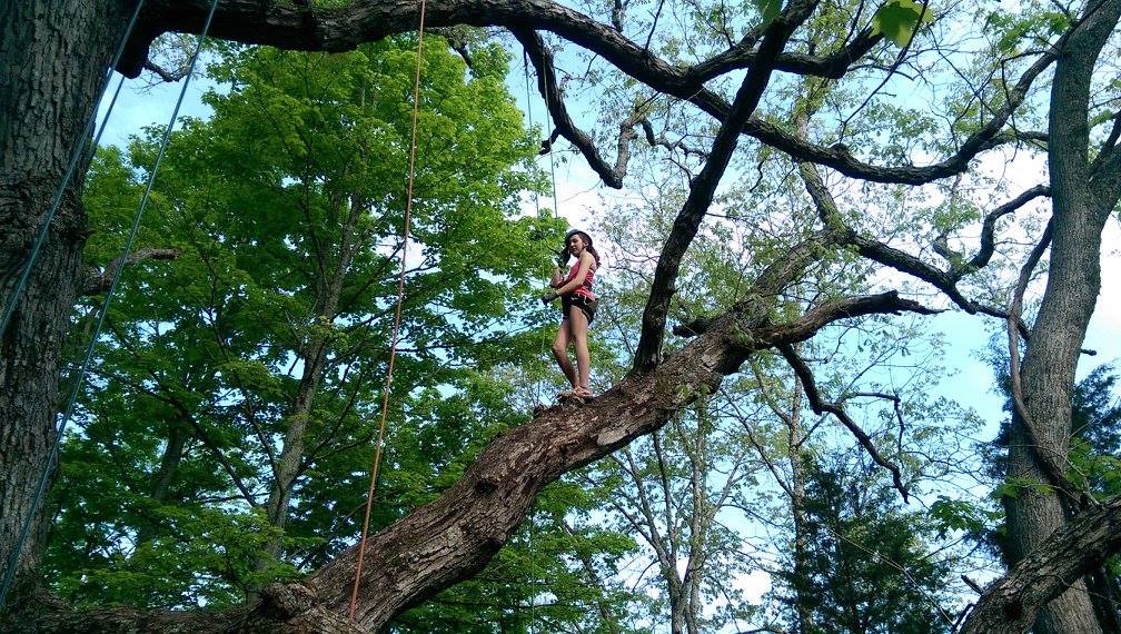 Tree Climbing + Forest Bathing in Kentucky