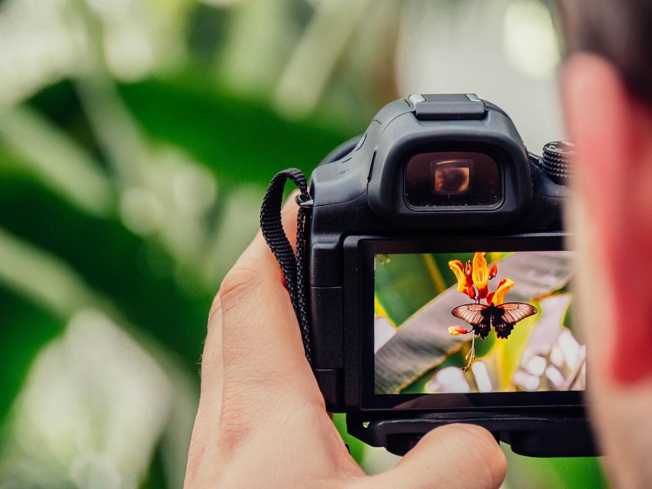 Nature Photography Workshop in Dallas