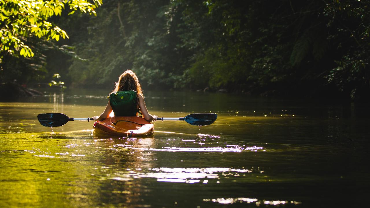 Kayaking Eco-Tour of New Jersey's Pinelands