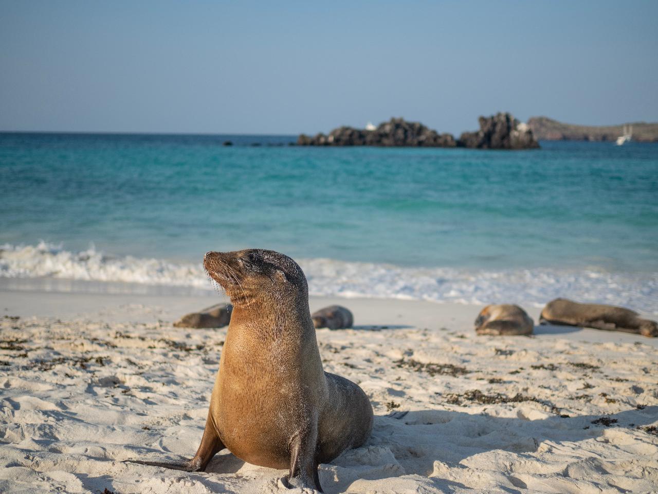 Galapagos Islands and Underwater Adventure