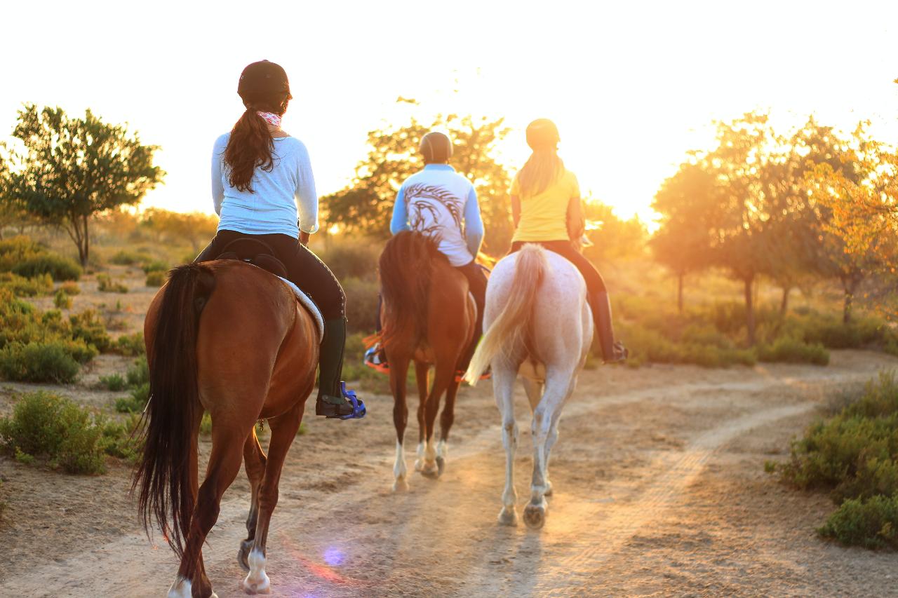 Charlotte NC Guided Horse Trail Ride