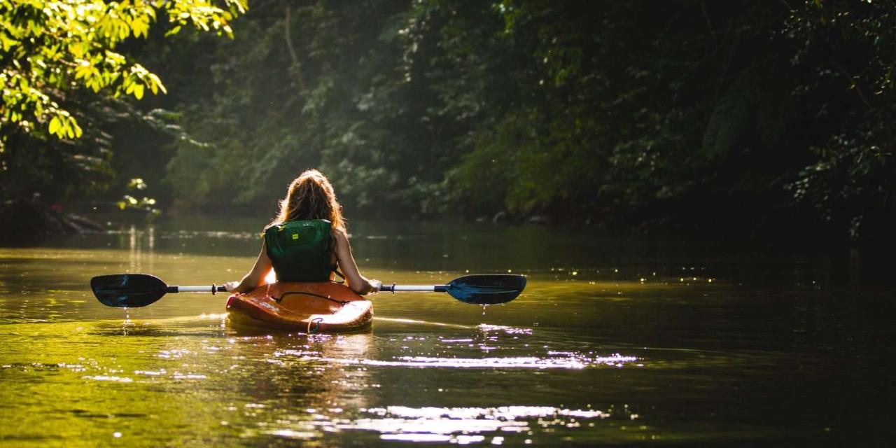 Baltimore Kayak Nature Tour