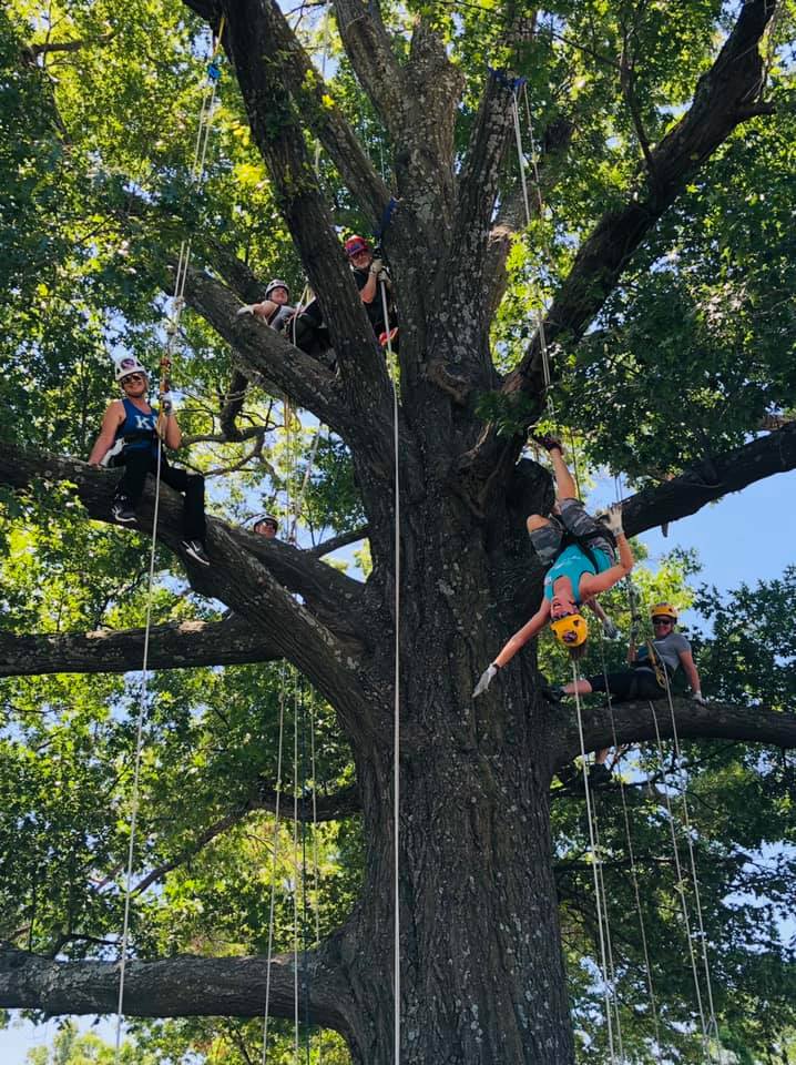 Tree Climbing in Kansas City