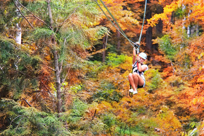 Zipline and Wine near DC