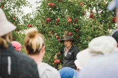 Dog Friendly - 'Pick Your Own'- Apples with Tractor Ride 2022 Season