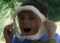 Shark Fest St. Simons Camp (2 Day)