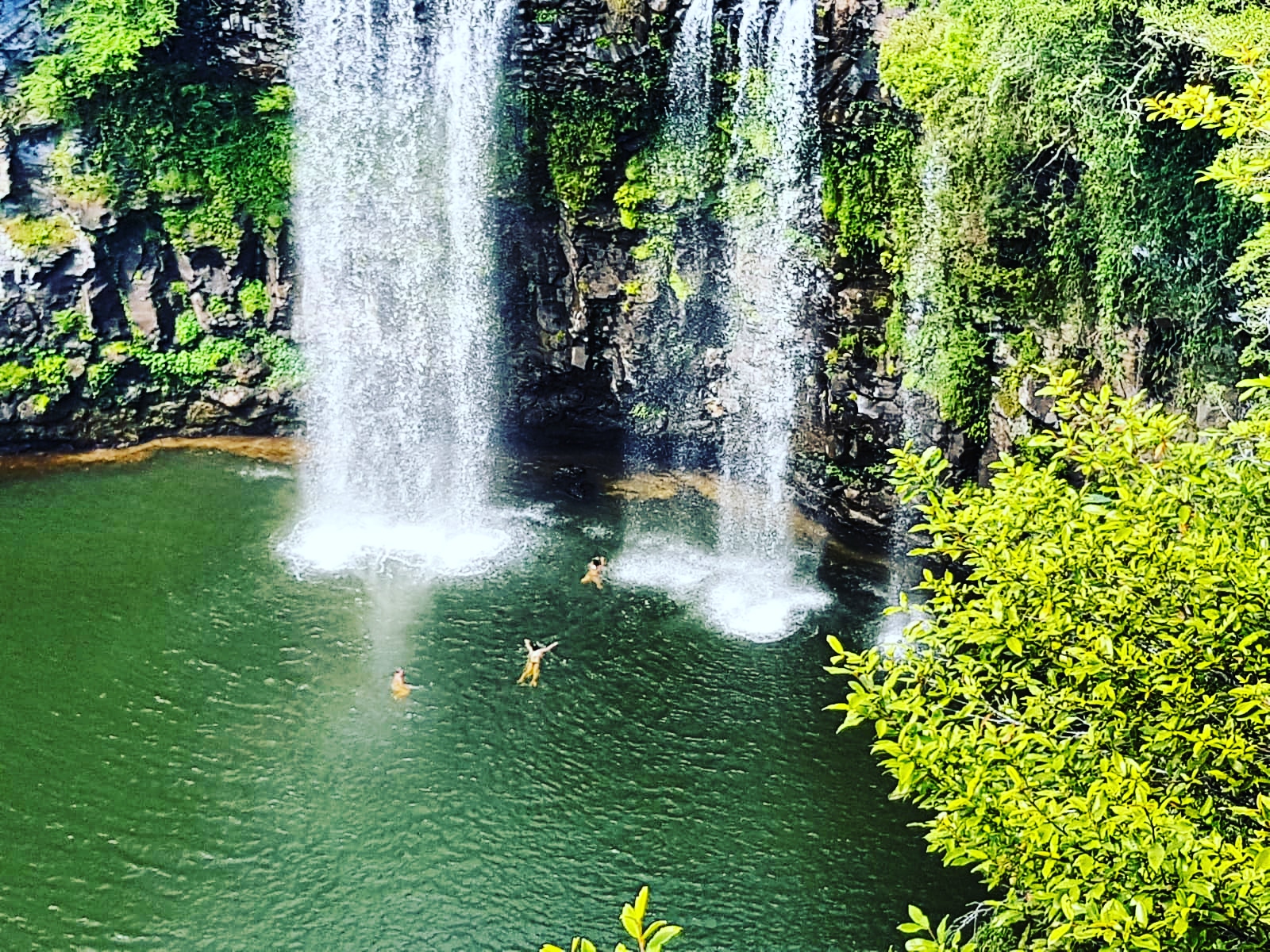Rainforest & Waterfall Experience