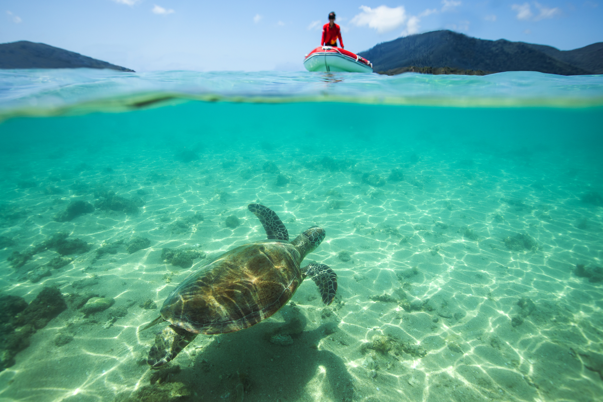 Thundercat - Private Charter 38 Guests