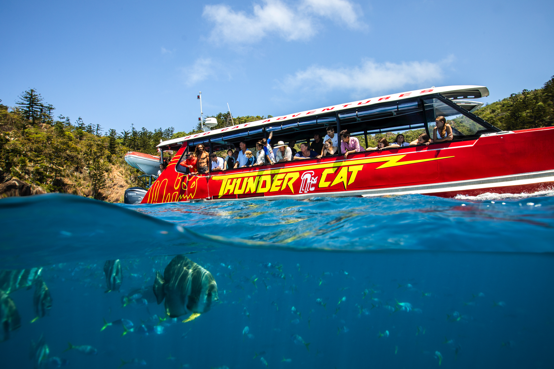 Thundercat - Private Charter 38 Guests