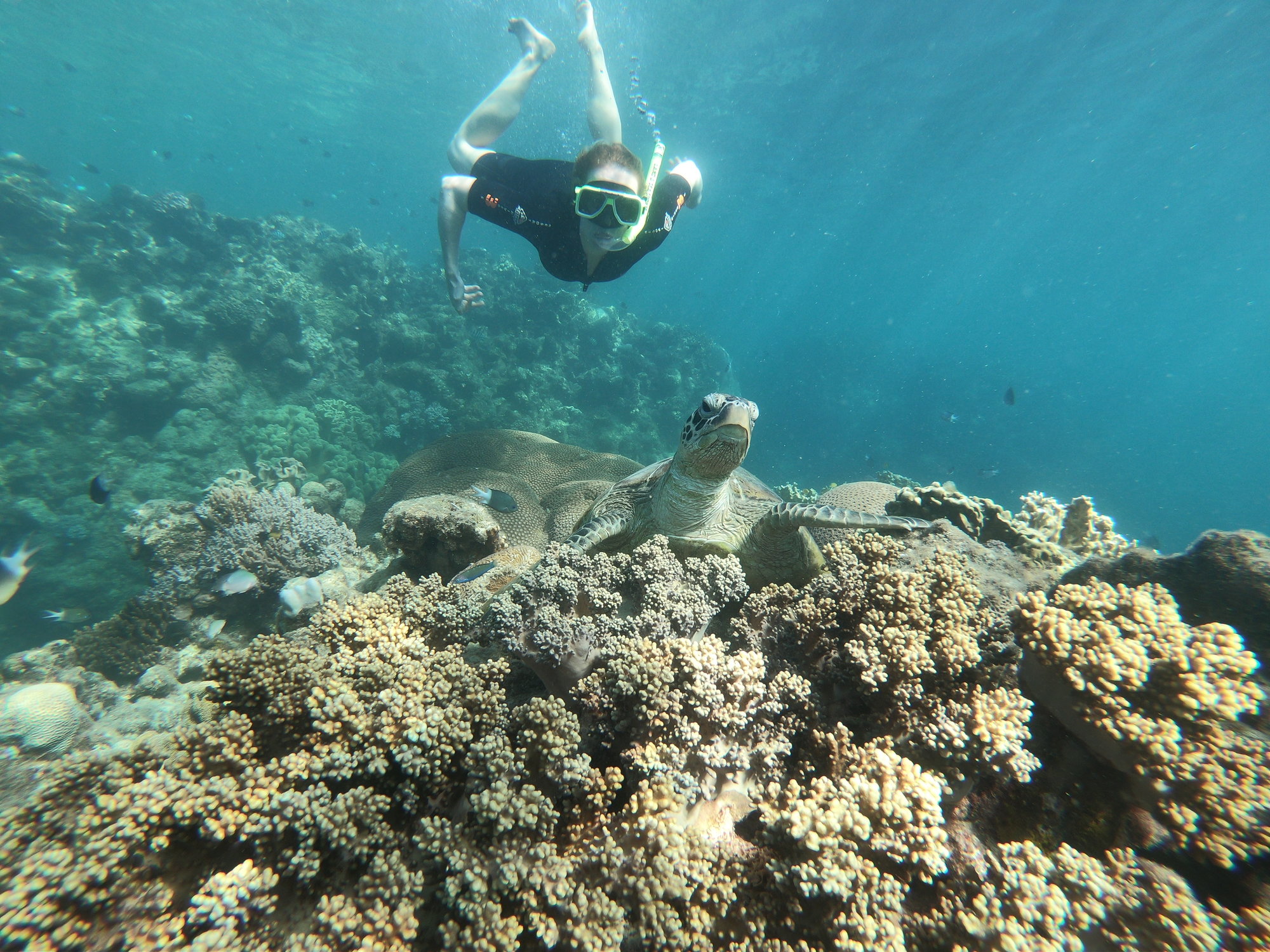 Tongarra Sailing Adventures