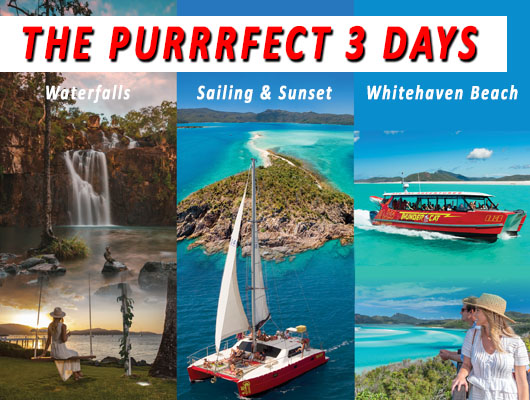 The Purrrfect 3 Days - All Inclusive Day Tours