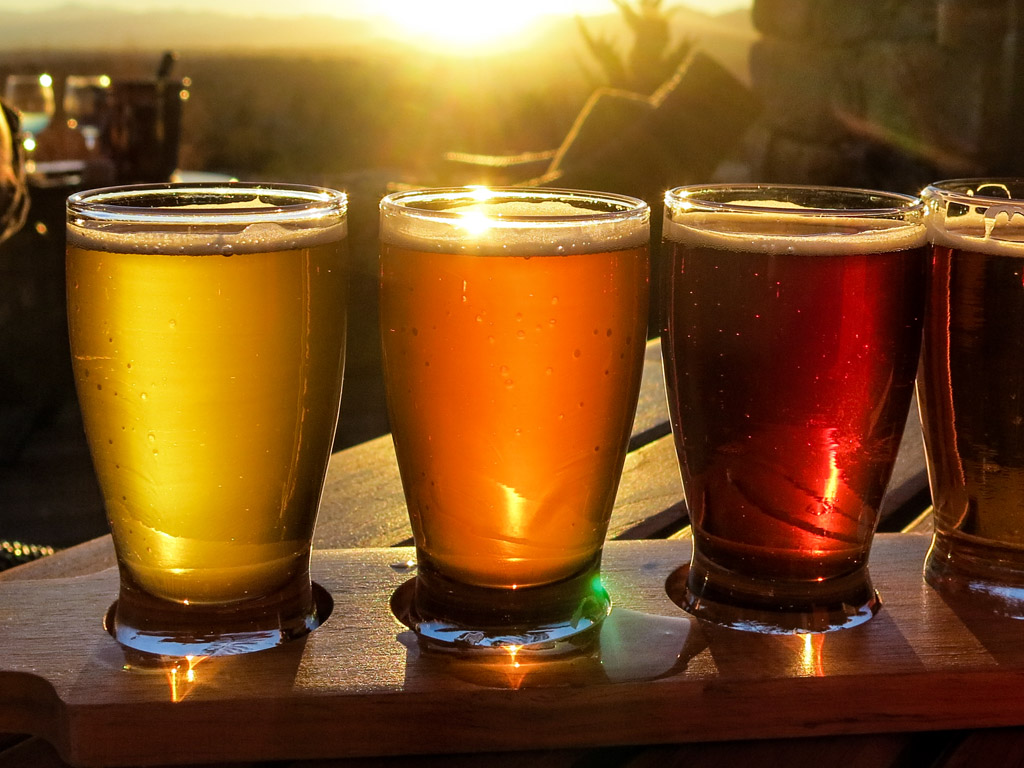 Yarra Valley Cider & Ale Trail Tour
