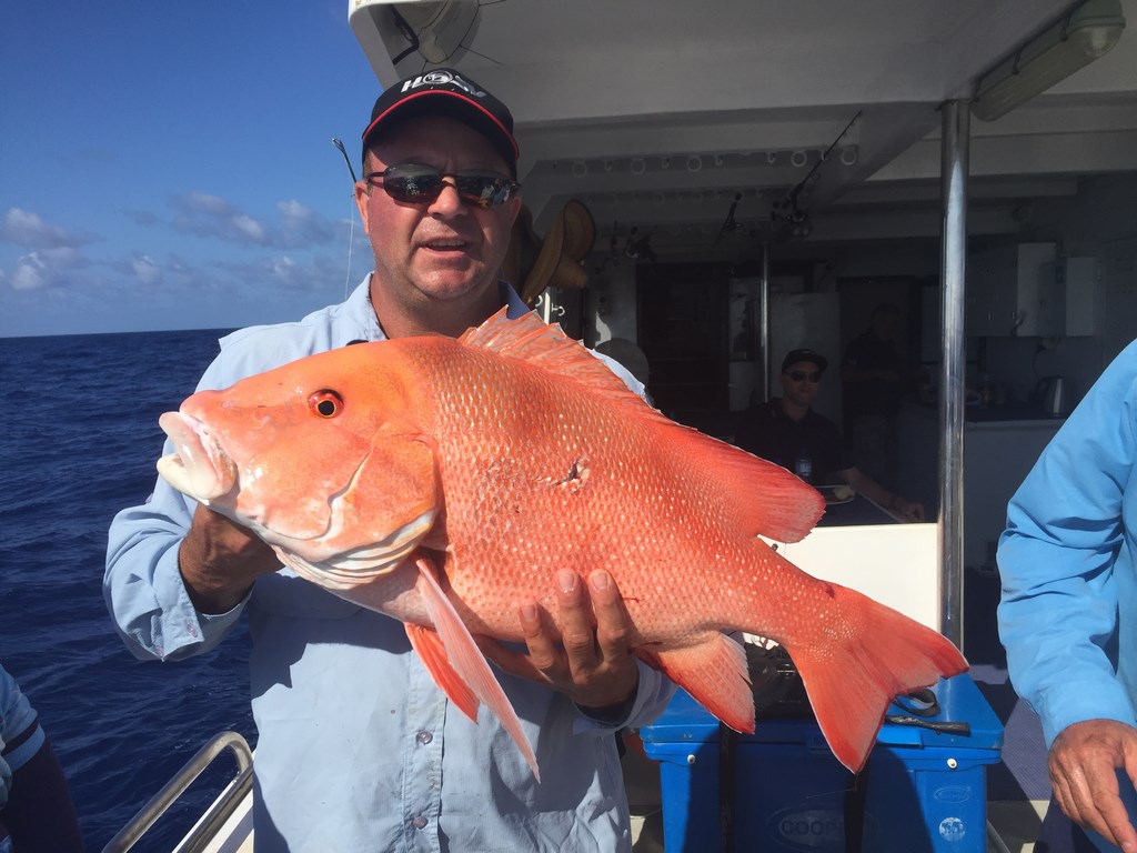  Day Trip Shoals and Wrecks Townsville 