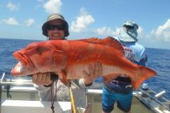 12 Hour Day  Reef Trip Townsville