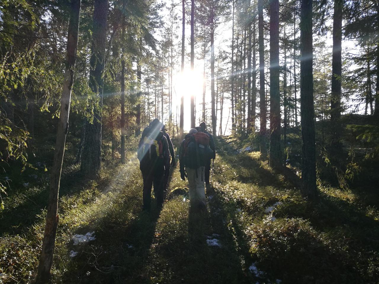 Stockholm Summer Hike - Day Tour