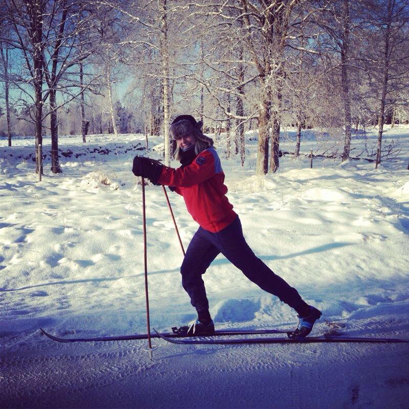 PRIVATE Cross Country Skiing - day trip