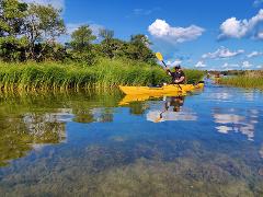Half Day Stockholm Archipelago Kayak Tour