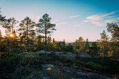 Evening Summer Hike - evening trip