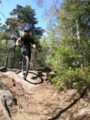 Mountain Biking in Stockholm Forests for Experienced Riders
