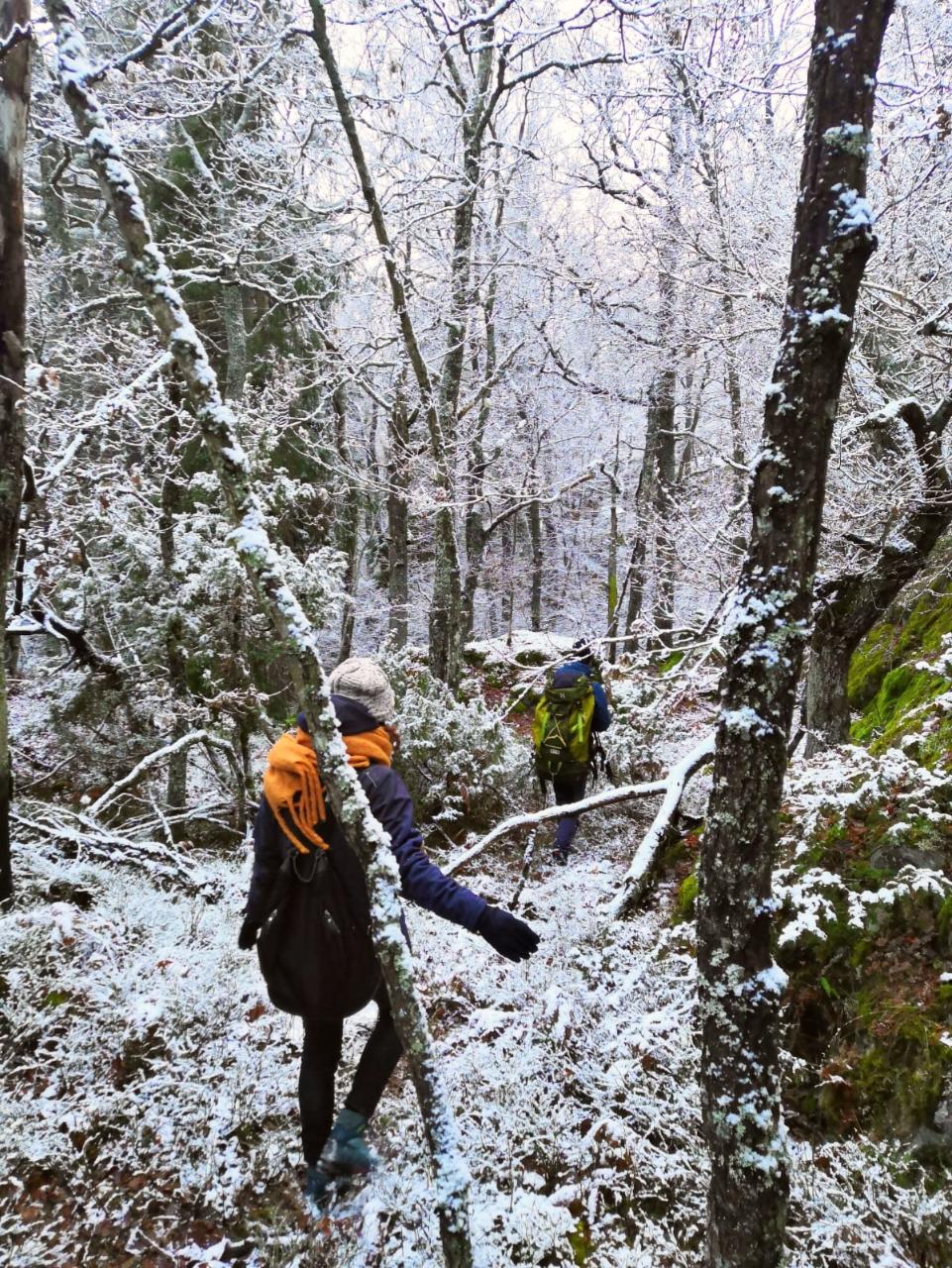Nature Winter Hike - day tour