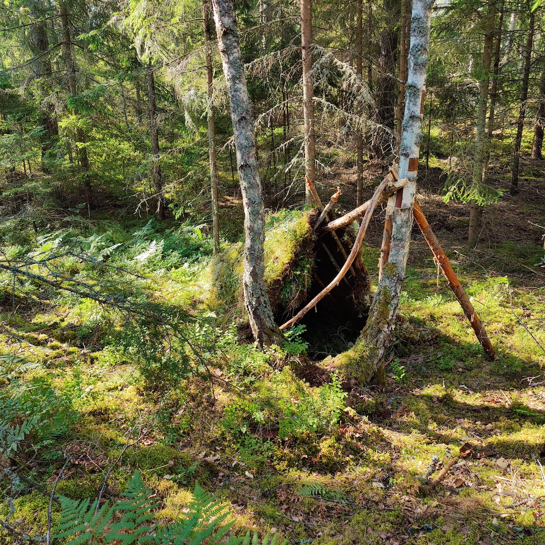 Survival Courses - Intermediate Level: 4 days