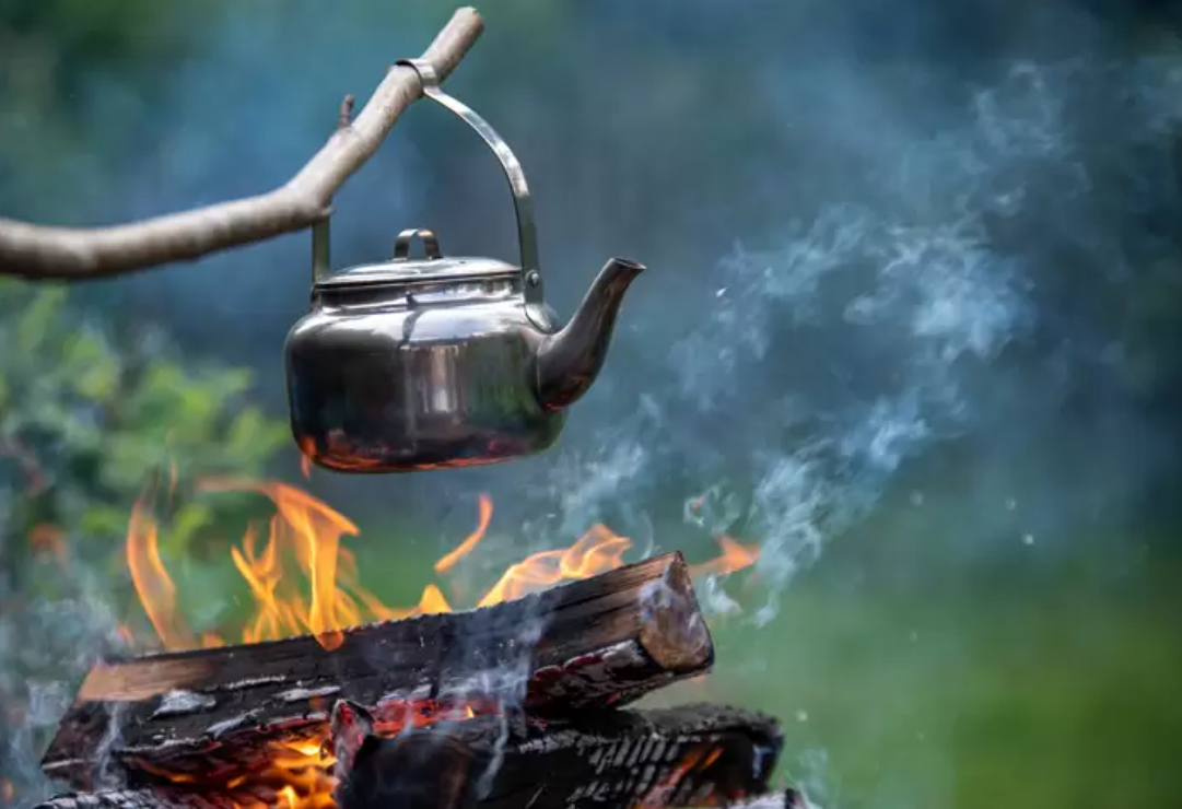 PRIVATE Wild Cooking & Foraging - 3-Course Meal