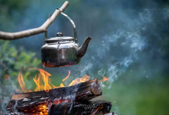 PRIVATE Wild Cooking & Foraging - 3-Course Meal