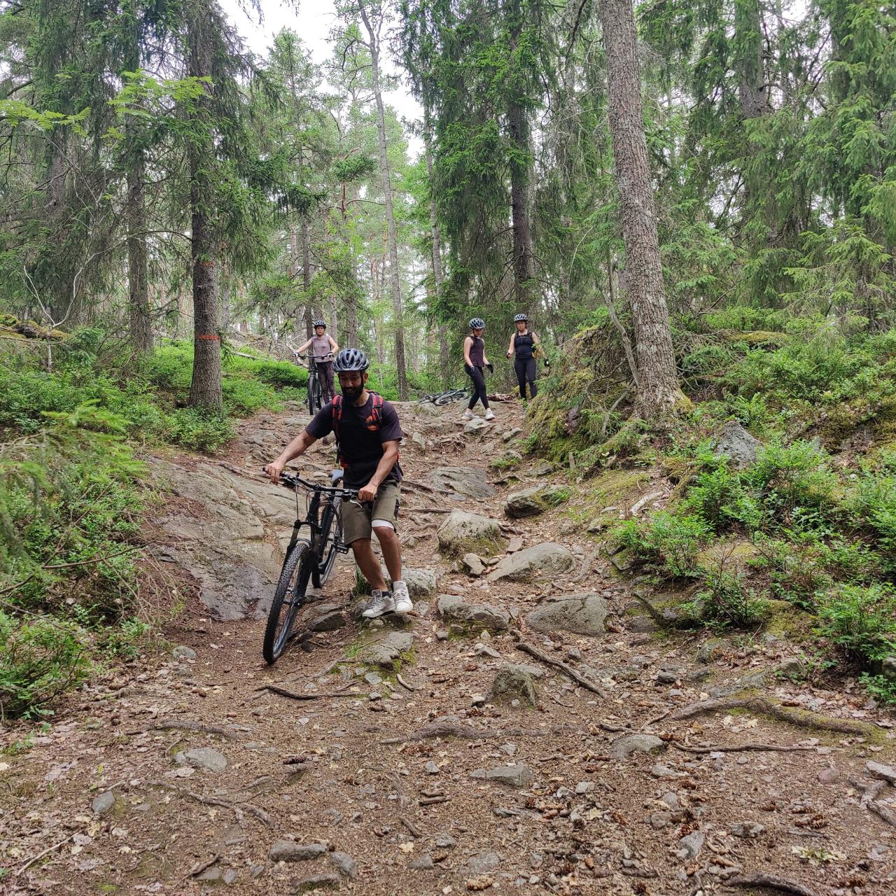 Mountain Biking Small-Group in Stockholm Forests for Beginners