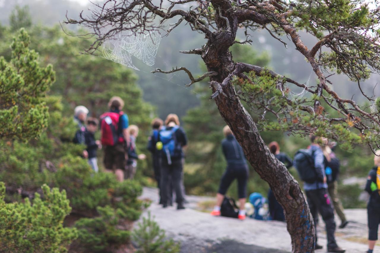 PRIVATE Stockholm Archipelago Hike - Day trip