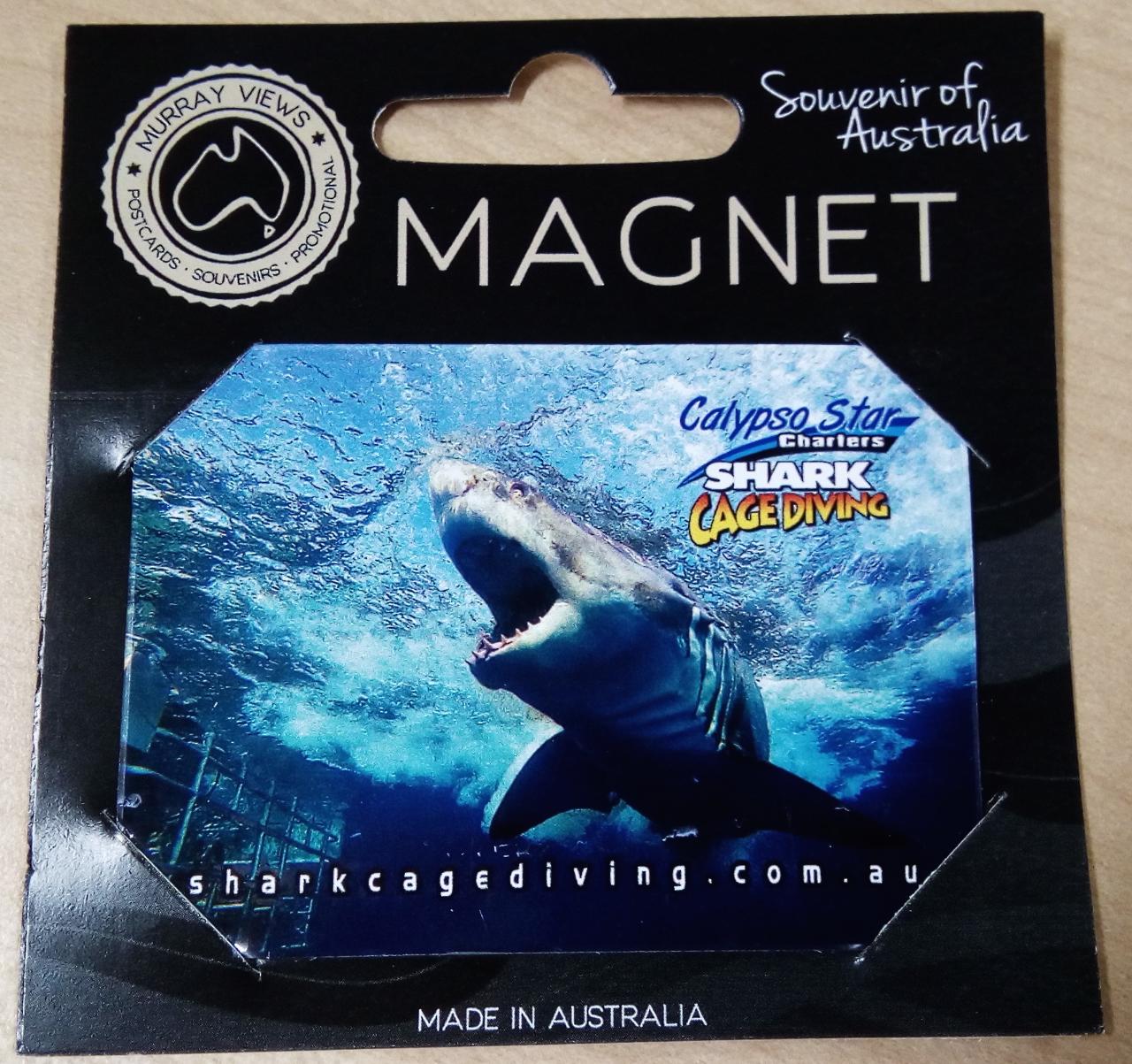 Fridge magnet