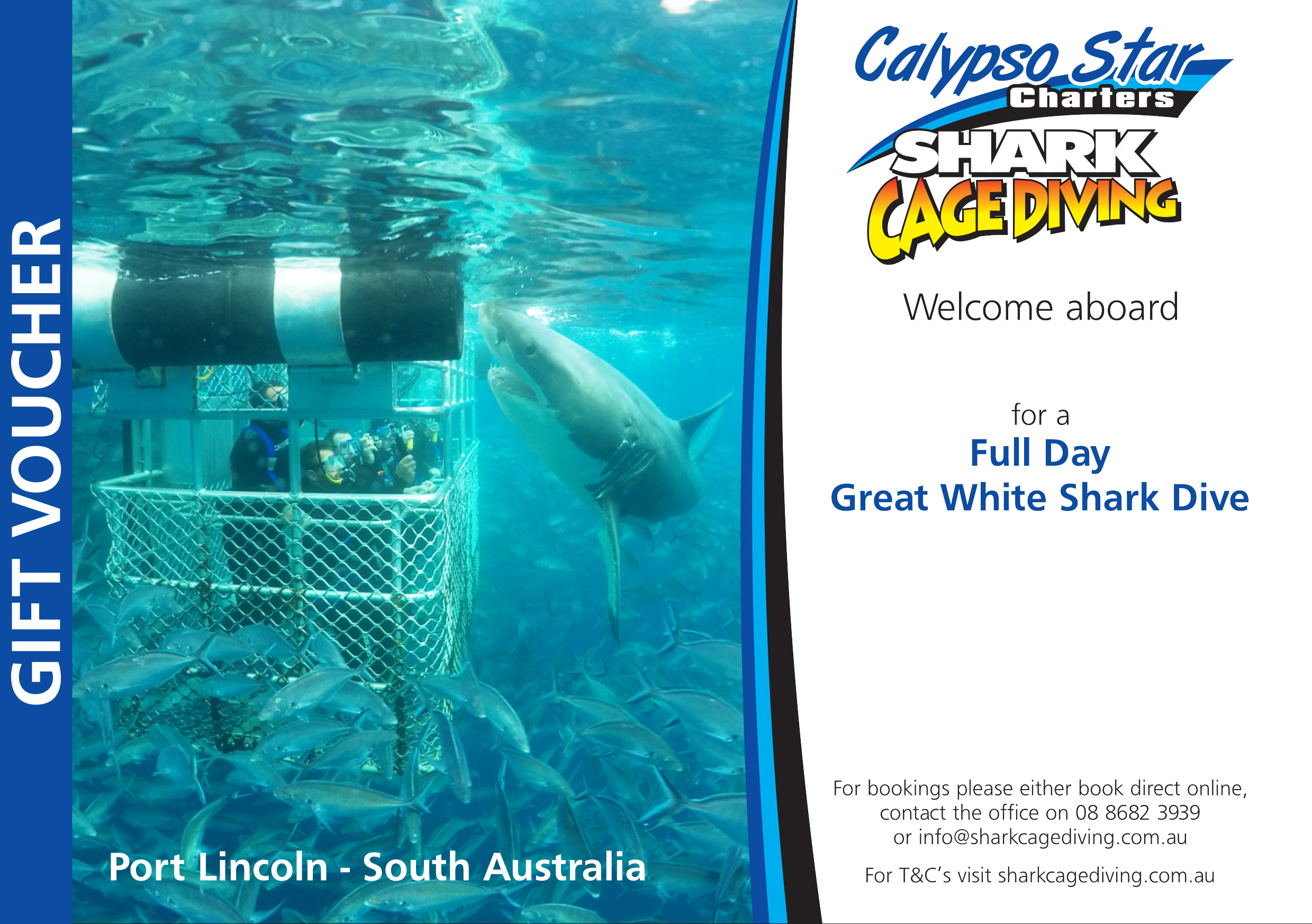 Shark Cage Diving Gift Voucher - Calypso Star Charters Reservations