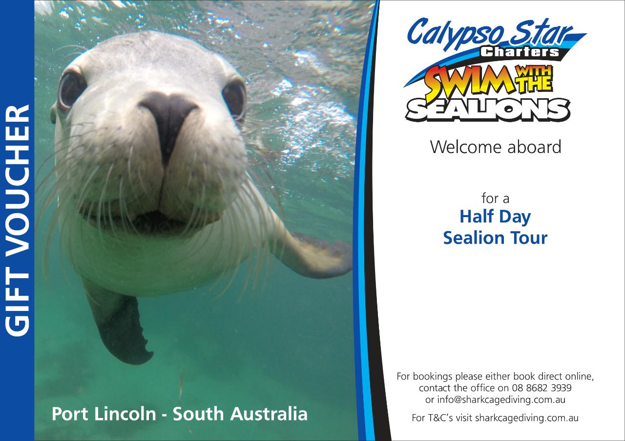 Swim with the Sealions Double the Fun Gift Voucher