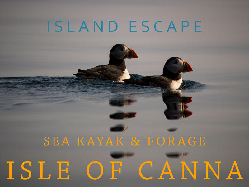 Island escape - Sea kayak & Forage Isle of Canna