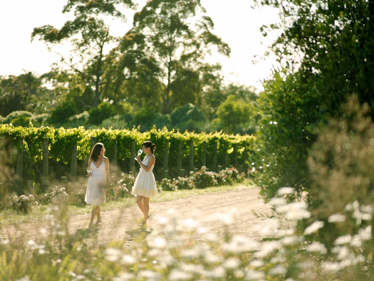 Off The Beaten Track at Montalto