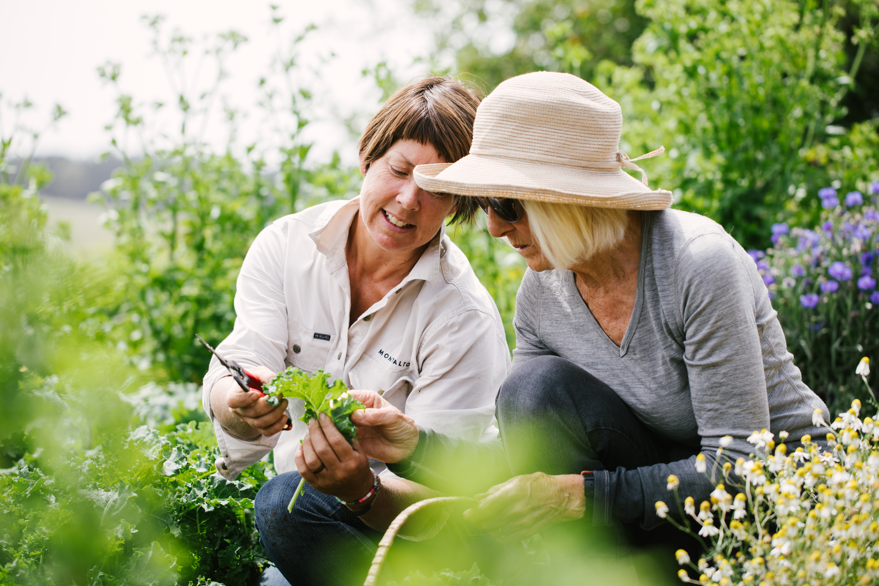 Estate to Plate - A Gourmet Indulgence