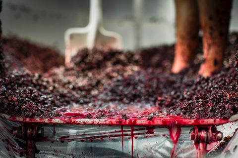 Behind the Scenes Winery Tour