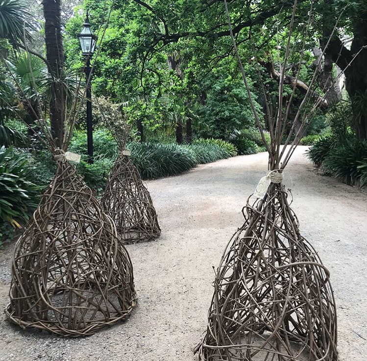 Exclusive- Hazelnut Cane teepee workshop